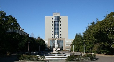大学受験は死ぬほど勉強してなんとか静岡大学に合格！