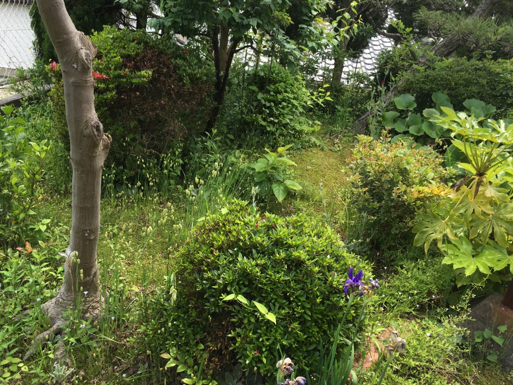 便利屋日報｜日進市の一般宅にて庭の草刈りを行いました〜！！