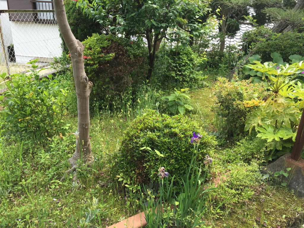 便利屋日報｜日進市の一般宅にて庭の草刈りを行いました〜！！