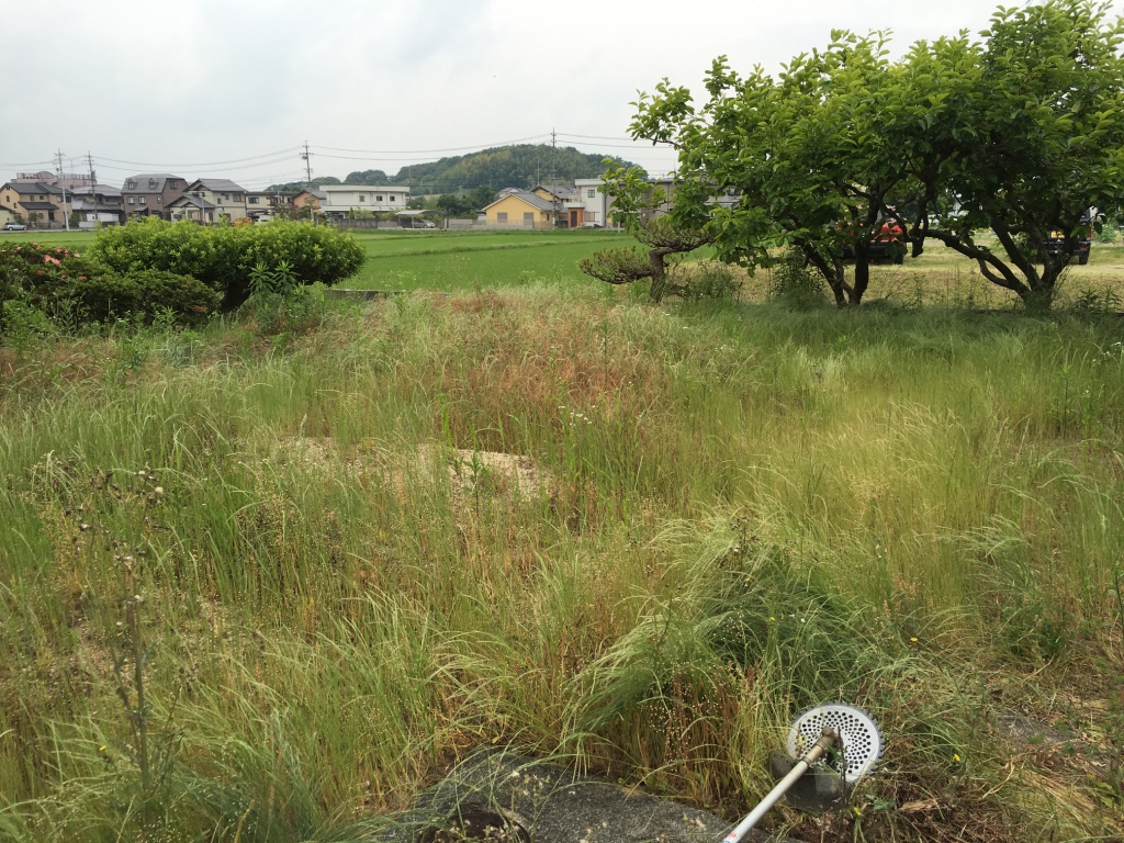 便利屋日報｜東郷町にて草刈りを行いました〜！！