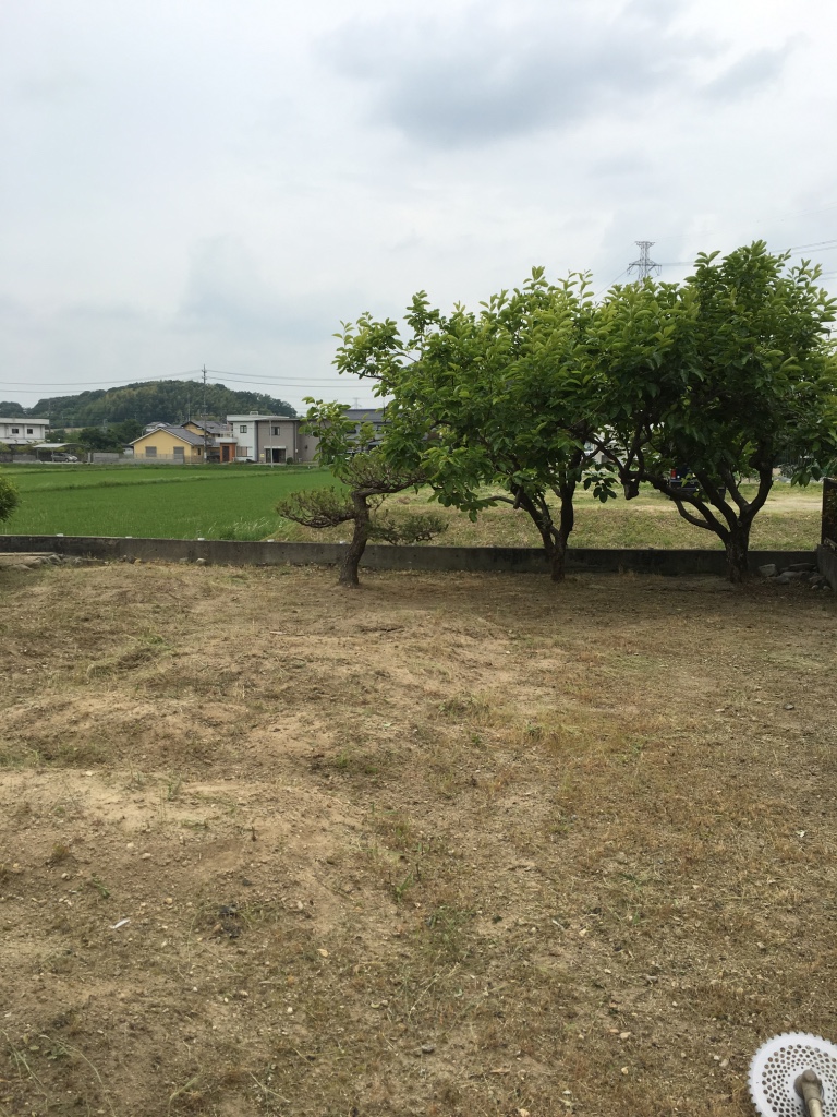 便利屋日報｜東郷町にて草刈りを行いました〜！！